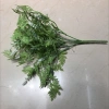 LBF one G verde mixto persian leaf Application Scenario